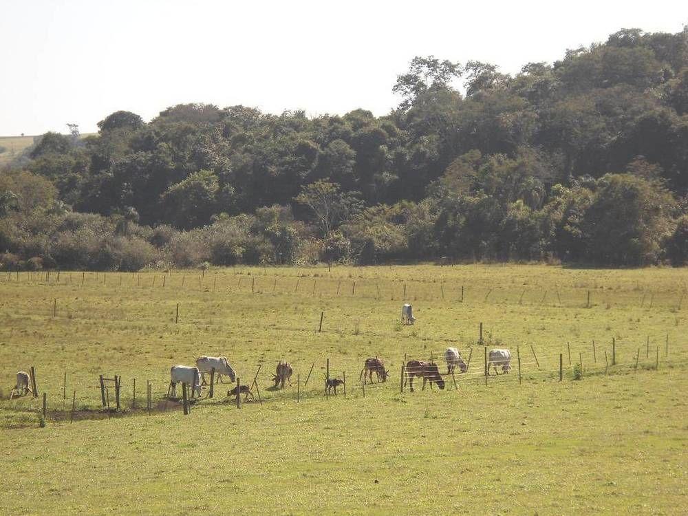 פיראז'ו Hotel Fazenda Recanto Do Monte Alegre מראה חיצוני תמונה